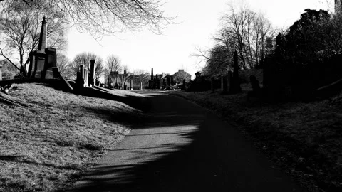 Walking along a quiet path inside a cemetery Video stock 171831222