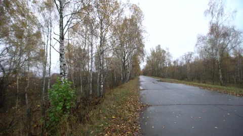 Walking along a quiet path with trees and fallen leaves in a park during autumn Stock Footage 332836011