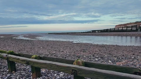 Walking along quiet pebble beach with sea groynes and coastal cliffs Stock Footage 309767257