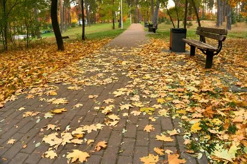 Walking along a quiet tiled path in a city public October autumn park Stock Photos
