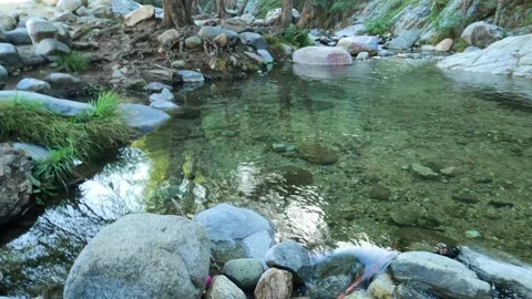 Walking along river Video stock 151786662