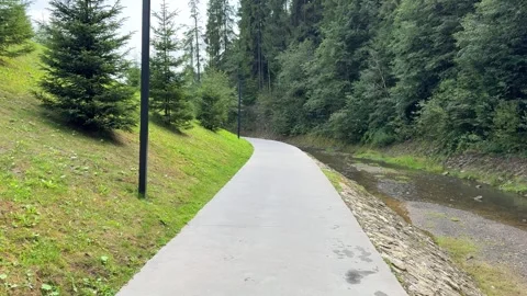 Walking along a riverside path in a green mountain park Stock Footage 318284570