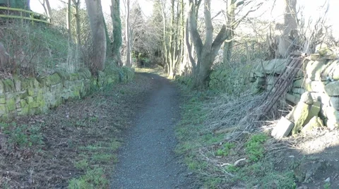 Walking along a rural walled path in winter, low sunlight slanting through trees Stock Footage 1090266
