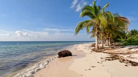Walking along a sandy beach Video stock 241426021