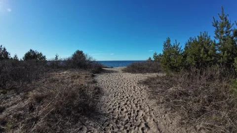 Walking along a sandy path toward the sea on a sunny day, stabilized POV shot Stock Footage 337535855