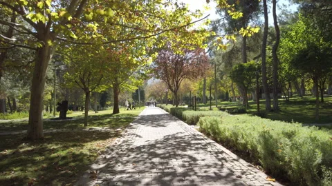 Walking Along a Scenic Tree Lined Pathway in Çamlık Parkı 库存影片 348683135