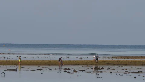 Walking along the seashore at low tide Stock Footage 296913401