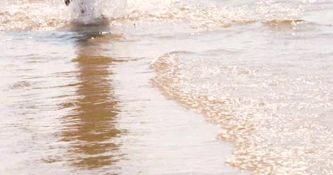 Walking along the seashore on a sandy beach on a sunny day. Foot exercises Stock Footage 328668392