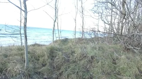 Walking along the Seaside Stock Footage 146230560