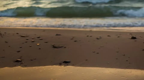 Walking Along the Shore Stock Footage 67464339