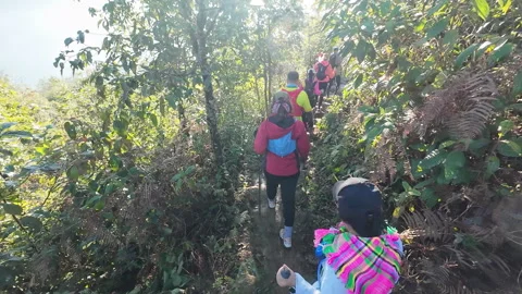 Walking along single track in a forest trail 库存影片 296093221