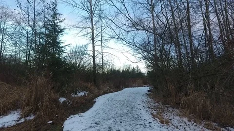 Walking along snow covered path Stock Footage 86294495