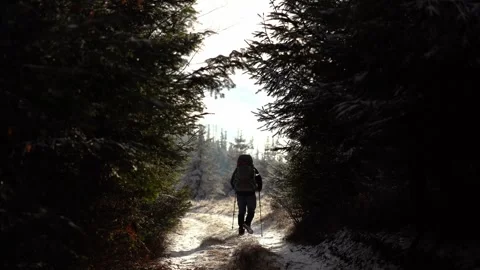 Walking along a snowy path in the forest during the late morning hours Stock Footage 327591000