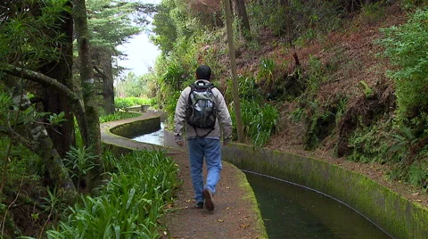 Walking along the so called Levada on the island Madeira, Portugal. Stock Footage 62946079