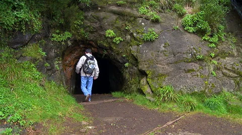 Walking along the so called Levada on the island Madeira, Portugal. Video stock 62946350