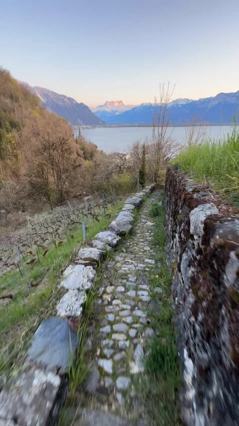 Walking along stone path overlooking Lake Geneva and Alps 库存影片 331987599