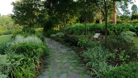 Walking along a stone pavement Stock Footage 156306467