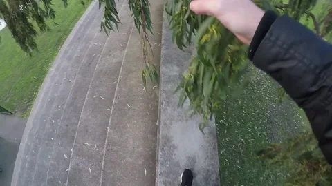 Walking Along Structure Through Trees 스톡 동영상 79982812