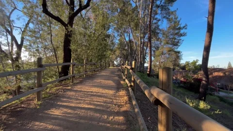 Walking along sunlit forest trail with wooden fence POV in nature 4K Stock Footage 330975001