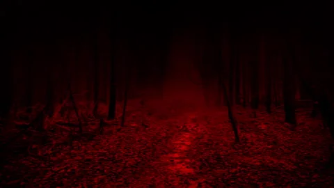Walking Along Trail In Dark Scary Woods 库存影片 285653262