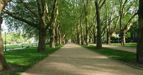 Walking Along the Tree Lined Avenue at Jasne Błonia Square in Szczecin Poland Vídeos de archivo 336151006