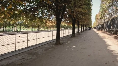 Walking Along a Tree-Lined Promenade in Paris, France Stock Footage 346838955