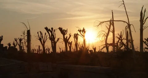 Walking along trees and constructions rubble of destructed city at sunrise 스톡 동영상 126318162