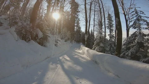 Walking along the winter snowy mountain road in forest Stock Footage 254485414