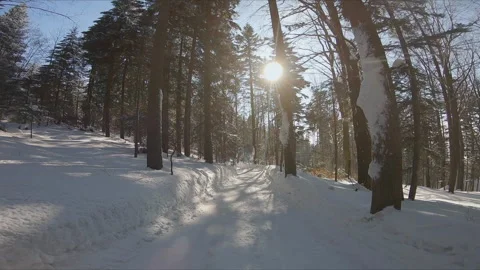 Walking along the winter snowy mountain road in forest, pov Stock Footage 254485577