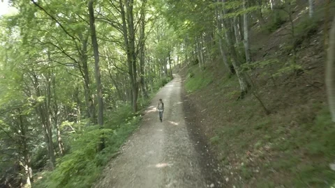 Walking Among Beeches On A Mountain Footpath Stock Footage 134544167