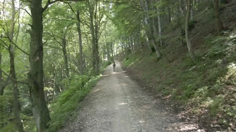 Walking Among Beeches On A Mountain Footpath Video stock 134544874