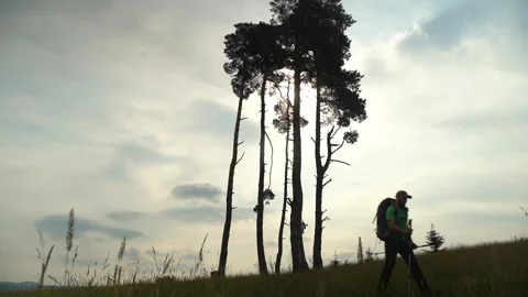 Walking among tall trees in the field during the late afternoon 스톡 동영상 330476776