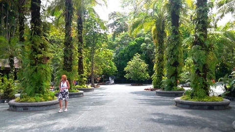 Walking among trees Видео 126976122