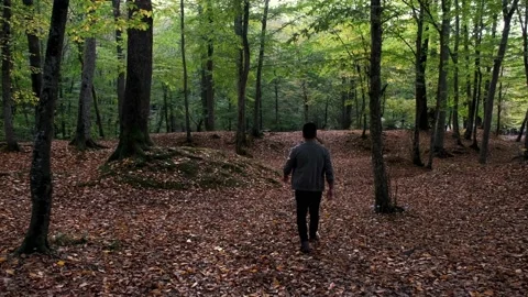Walking among trees, man is walking among the trees in the forest in autumn Stock-Footage 165848933