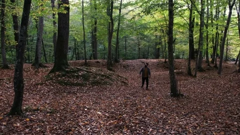 Walking among trees, young man walking among the trees, in forest and autumn Stock Footage 165930741