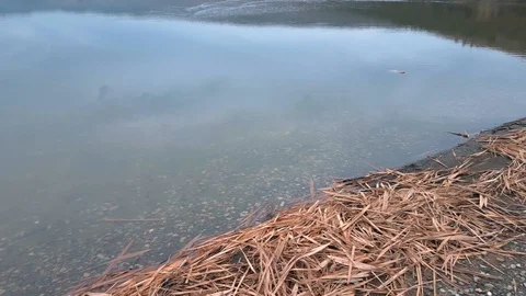 Walking and bike path along the beautiful Lake.Footpath Along the Pond. Stock Footage 129824765