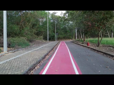 Walking and Bike Path Through Park, Aerial Drone Shot Stock Footage 341830417