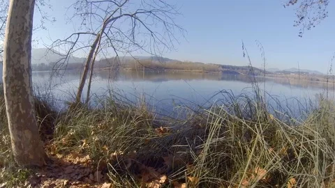 Walking and having a look at the nature from Banyoles lake Video stock 103573312