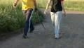 Walking and jogging in the park HD Footage