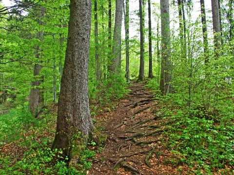 Walking and marked trails in the Thur river valley and in the Obertoggenburg Stock Photos