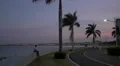 Walking and relaxing in Cinta Costera park at dusk in Panama 4k or 4k+ Resolution