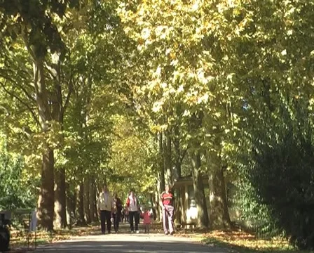 Walking and relaxing Stock Footage 1078889