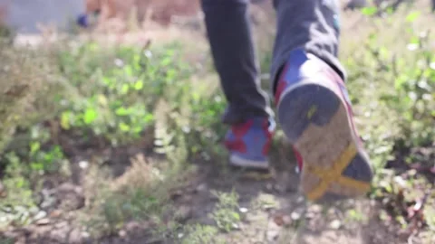 Walking and running in the grass splashed dust Stock Footage 164633957