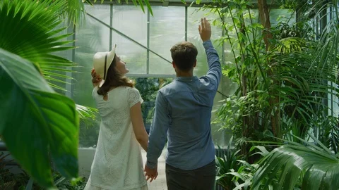 Walking and talking inside a greenhouse Stock Footage 99965339