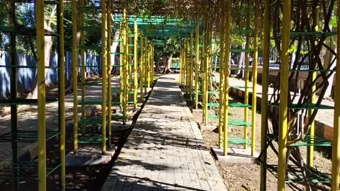 Walking area in a city park 库存影片 339126241