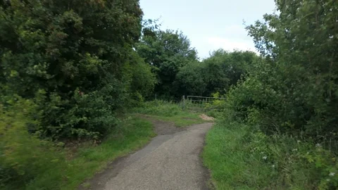 Walking around the corner, under a bridge, and into a forest trail Stock Footage 337414095