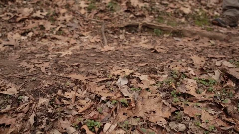 Walking around 動画素材 104975194