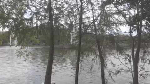 Walking Around the Lakeside Stock Footage 321666423