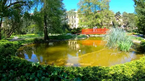 Walking around a small pond in a garden, hyper lapse Stock Footage 106840503