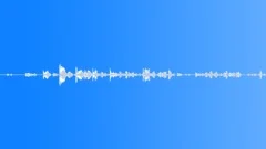 Walking AroundSound Effect